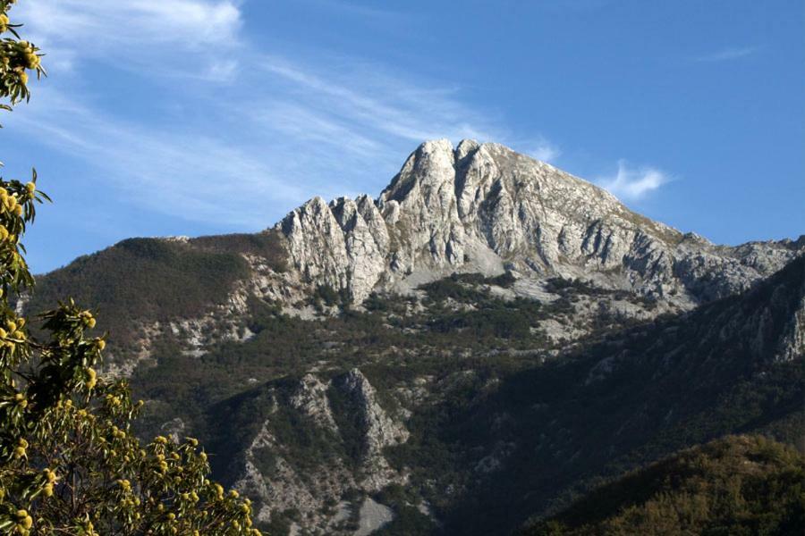 Borgo Delle Panie Bed & Breakfast Careggine Екстериор снимка